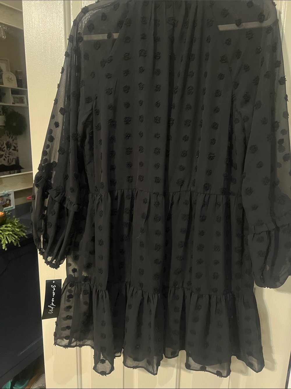 Black Sheer Swiss Dot Midi Dress with Ruffled Hem - Picture 10 of 12
